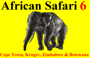 CLICK HERE for Africa Information