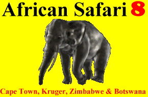 CLICK HERE for Africa Information