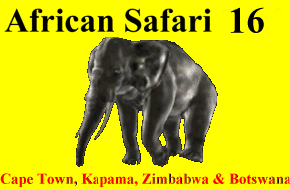 CLICK HERE for Africa 16 Information