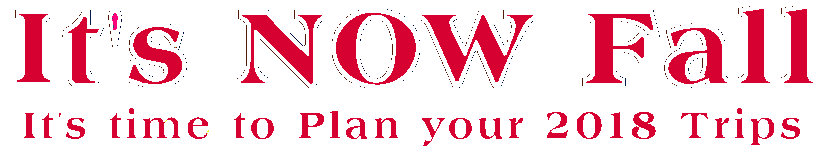 CLICK HERE for
See The World Tours Last E-Mail Update